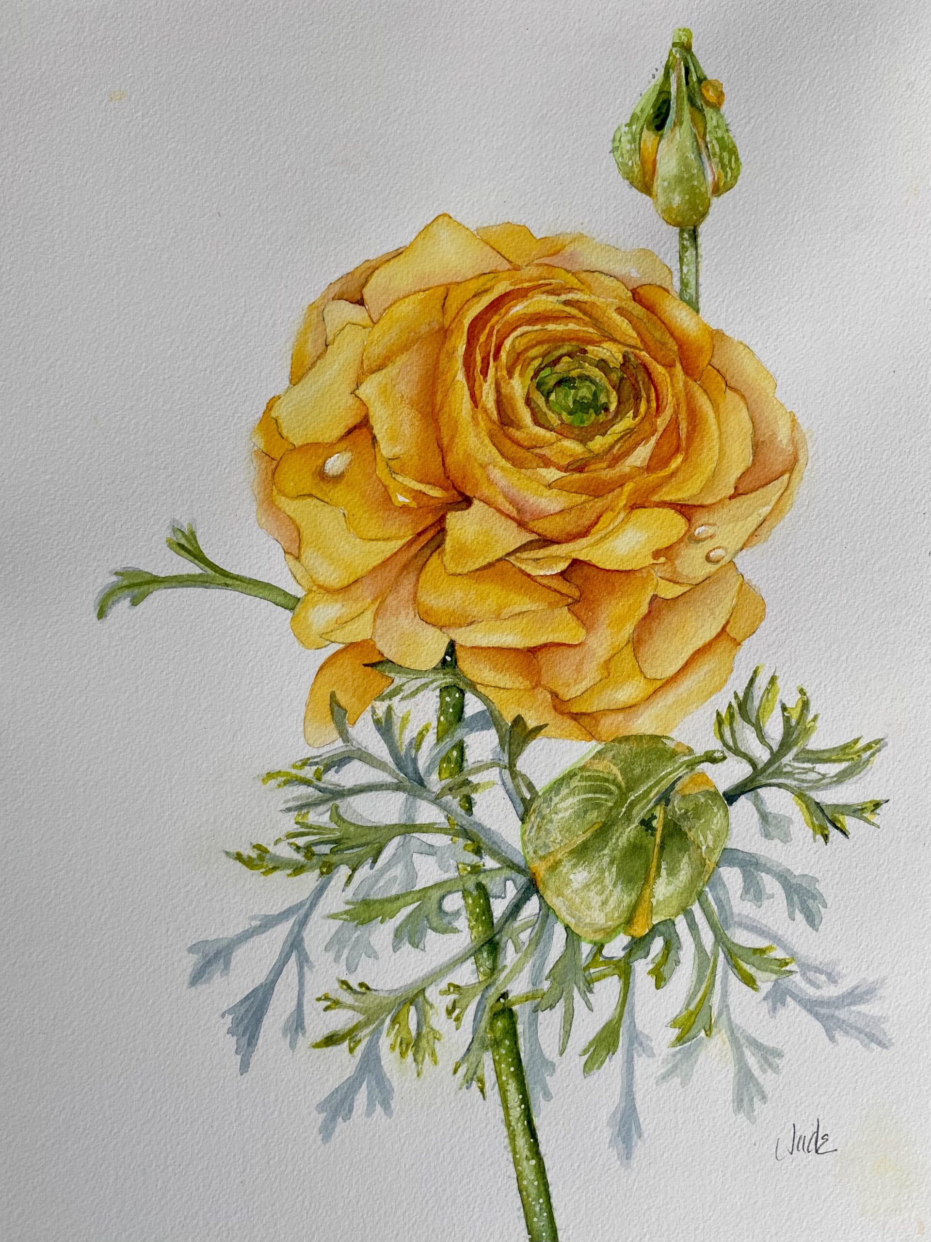 12" x 16" watercolour on Arches 140 lb. Cold Press paper. Completed 8/19/2025